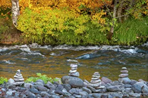 Lane County Prints: Stacked stones on Fall-colored vine maple band of the McKenzie National Wild