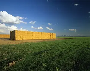 Bale Prints: Stacks of alfalfa hay bales in the Palko Verde Valley of California near Blythe