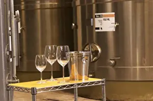Stairs Prints: stainless steel tanks. wine tasting glasses ice bucket spitoon Bodega Del Anelo Winery