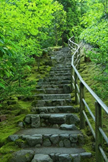 Moss Gallery: Stairs, Summer; Portland Japanese Garden; Portland; Oregon; USA