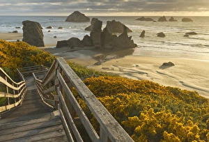 Stairs Prints: A stairway leads to the beach in Bandon, Oregon