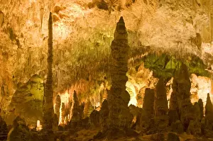 Eroded Prints: Stalactite, stalagmite, and column formations in the wondrous 8. 2-acre Big Room cave