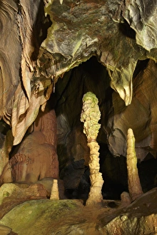 Stalagmite Prints: Stalactites and stalagmites, Coxs Cave, Cheddar Caves, Somerset, England, United