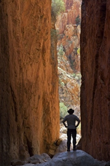 Images Dated 8th September 2006: Standlley Chasm, West MacDonnell Ranges, near Alice Springs Outback, Northern Territory
