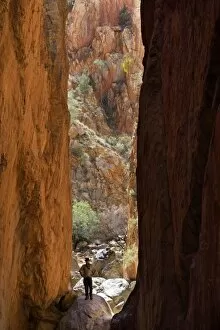 Images Dated 8th September 2006: Standlley Chasm, West MacDonnell Ranges, near Alice Springs Outback, Northern Territory
