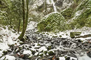 Images Dated 2nd December 2007: Starvation Creek near Sandy, Columbia Gorge National Scenic Area, Oregon, USA