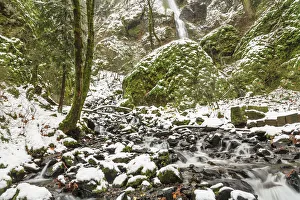 Starvation Creek near Sandy, Columbia Gorge National Scenic Area, Oregon, USA
