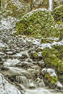 Images Dated 2nd December 2007: Starvation Creek near Sandy, Columbia Gorge National scenic Area, Oregon, USA