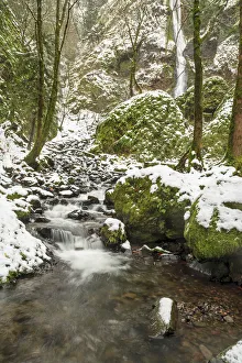 Moss Prints: Starvation Creek near Sandy, Columbia Gorge National scenic Area, Oregon, USA