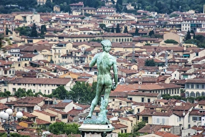 Quaint Prints: Statue of David overlooking Florence, italy
