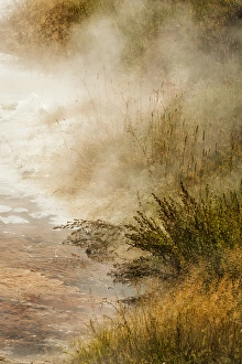 Mammoth Hot Spring Prints: Steam at Canary Spring, Mammoth Hot Springs, Yellowstone National Park, Wyoming / Montana