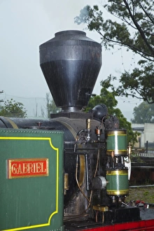 Passenger Prints: Steam Train, Bay of Islands Vintage Railway, Kawakawa, Bay of Islands, Northland