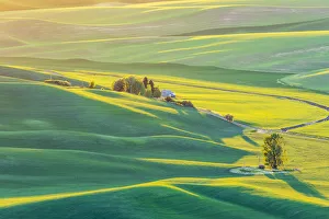 Palouse Prints: Steptoe Butte State Park, Washington State, USA. Sunset view of wheat fields in