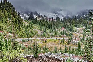 Cascade Mountain Prints: Stevens Canyon Area of Mt. Rainier National Park
