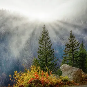 Cascade Mountain Prints: Stevens Canyon Area of Mt. Rainier National Park
