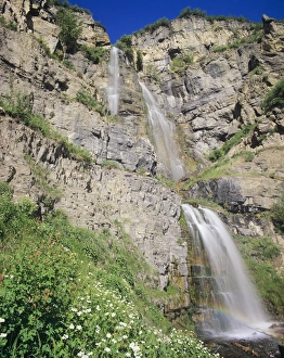 Wasatch Prints: Stewart Falls and wildflowers, Near Mt. Timpanogos, Uinta Wasatch Cache National Forest