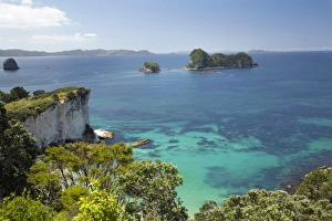 Images Dated 17th December 2009: Stingray Bay, near Cathedral Cove, Coromandel Peninsula, North Island, New Zealand