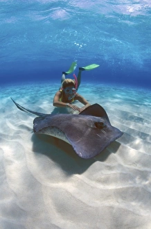 Stingray City, Grand Cayman, Cayman Islands, Caribbean. MR