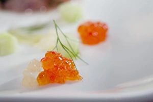 Culinary Prints: Stockholm, Sweden - Closeup of caviar and herbs