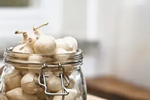 Culinary Prints: Stockholm, Sweden - Closeup cropped image of pearl onions in a jar