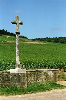Bunch Prints: The stone cross marking the Romanee Conti and Richebourg vineyards of Domaine de