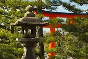 Torii Prints: Stone lantern and Torii gate in Fushimi Inari Shrine, Kyoto, Japan