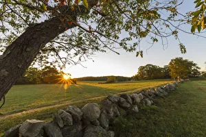 Images Dated 22nd September 2016: A stone wall and field at sunrise at the Cox Reservation in Essex, Massachusetts
