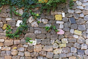 Images Dated 1st June 2024: Stone wall with ivy. Greece, Crete, Chania, Old Town