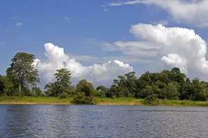 Amazonia Prints: Storm clouds gather over the Arasa River in the Amazon jungle near Manaus, Brazil