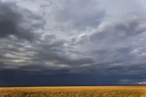 Images Dated 1st September 2008: Storm clouds above grassy plains of the Masai Mara Game Reserve, Kenya