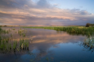 Images Dated 20th May 2007: Stormy evening at Malhuer National Wildlife Refuge in Harney County Oregon