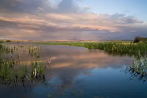 Images Dated 20th May 2007: Stormy evening at Malhuer National Wildlife Refuge in Harney County Oregon