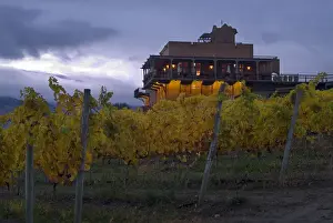 Images Dated 19th October 2005: Stormy sky over the fall-colored vineyards and winery of Burrowing Owl Winery with