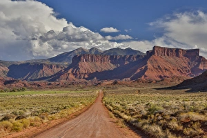 Dirt Road Prints: Straight dirt road leading into Professor Valley, Utah