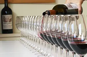 A straight row of glasses lined up for tasting being filled up with red wine - Chateau