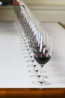 Chateau Longueville Prints: A straight row of glasses lined up for tasting being filled up with red wine - Chateau
