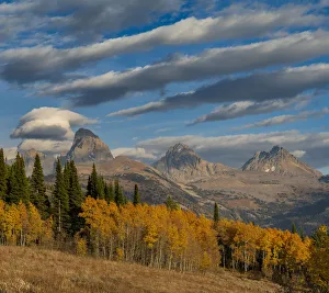 Streaky cirrus and cumulus clouds complement Golden Aspens with Grand