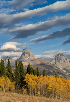 Streaky cirrus and cumulus clouds complement Golden Aspens with Grand