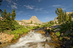 Driggs Prints: Stream and Buck Mountain, Alaska Basin trail near Driggs