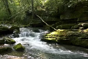 Images Dated 5th June 2006: Stream flowing out of Blanchard Cavern in the Ouachita National Forest of Arkansas