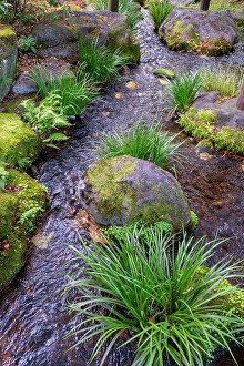 Images Dated 7th October 2024: Stream in Koko-en Garden, Himeji, Japan