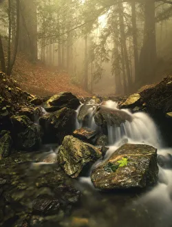 Steve Mohlenkamp Prints: A stream meanders through a fog filled valley on coastal California near Big Sur