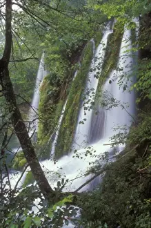 Meditative Prints: Several streams of water tumble down the edge of a small cliff amidst lush vegetation