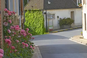 A street with village houses and road signs to Epernay, Cumieres and the Route de Champagne