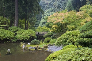 The Strolling Pond with Moon Bridge in the Japanese Garden, Portland, Oregon