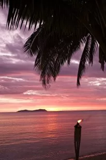 Images Dated 9th September 2006: Stunning tropical sunset shinging through foliage. Beqa Island, Fiji