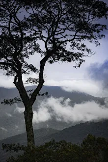 Great Smoky Mountain Prints: Stylized vista, Blue Ridge Parkway, Smoky Mountains, USA
