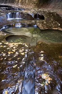 Images Dated 5th November 2007: The Subway along the Left Fork of the Virgin River in Zion National Park in Utah