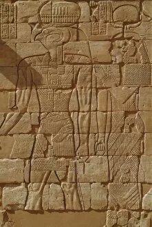 Images Dated 9th March 2003: Sudan, North (Nubia), Bas-relief of Horus in Kom Ombo Temple