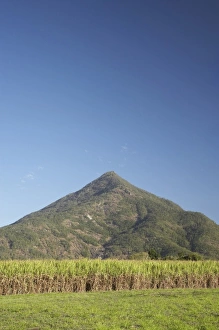 Queens Land Prints: Sugar Cane Fields and Walshs Pyramid, Gordonvale, near Cairns, North Queensland